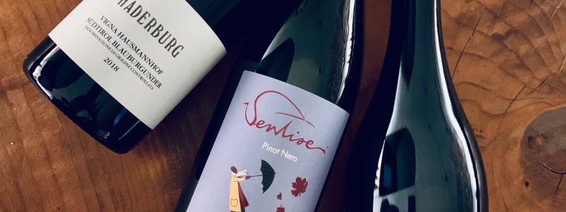 pinotneri_italia